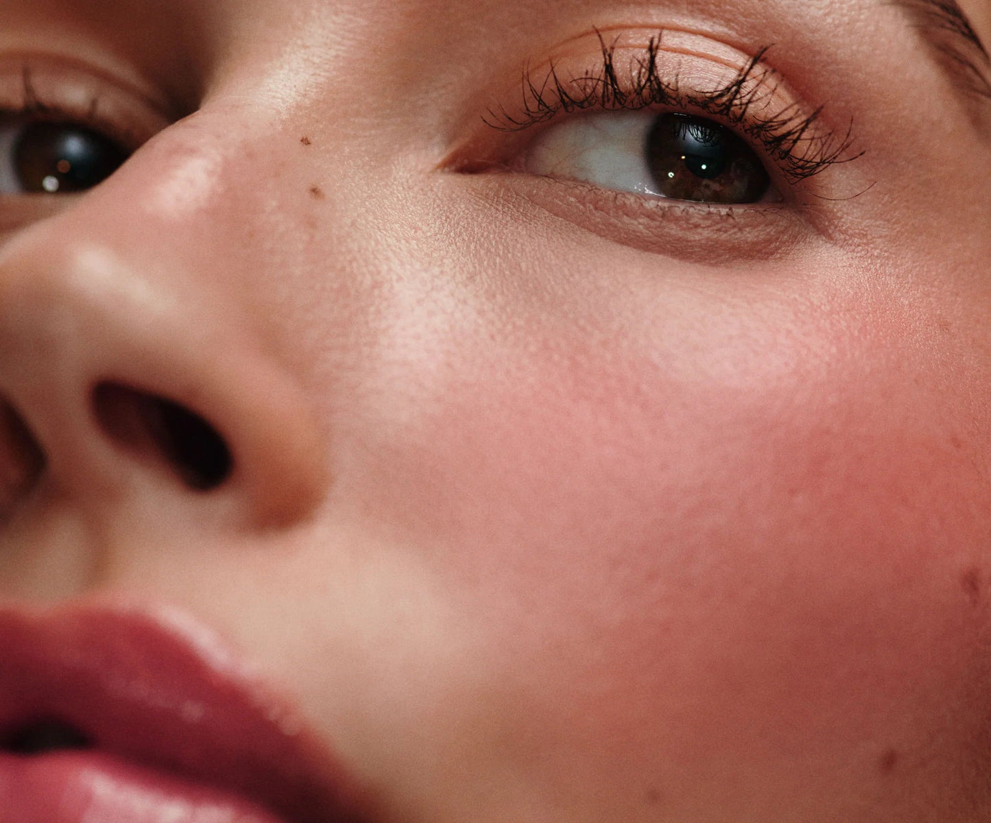 lioora-hex:68a765f48656c58e3d8ababd.jpg