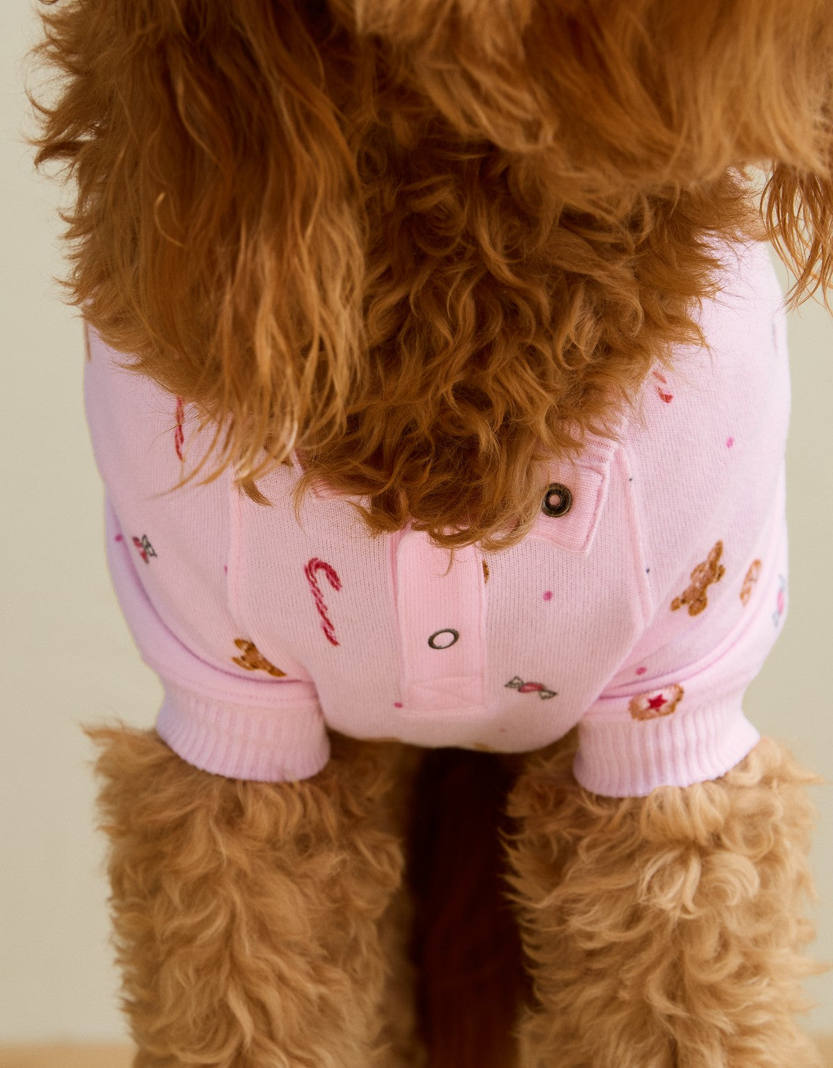 ABO Baked Goods Plush Dog Pajama, detalle del estampado