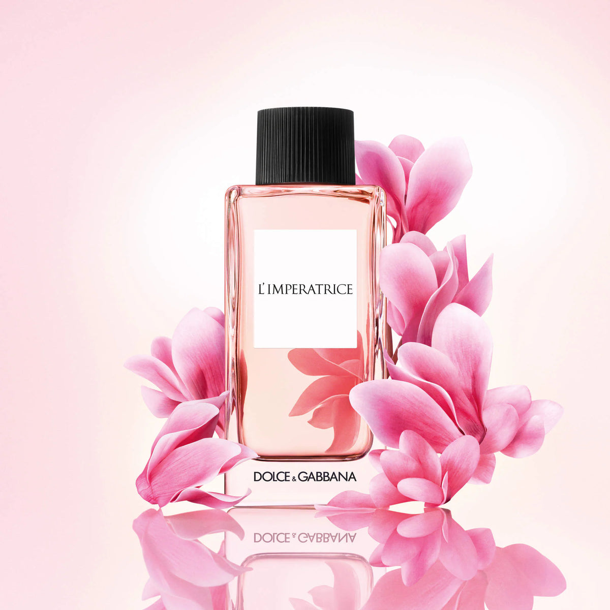 PREORDEN Dolce&Gabbana Mini Deluxe Perfume Sampler Gift Set